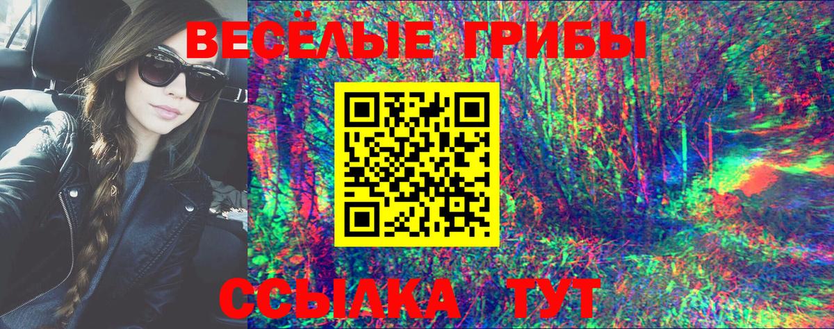 Иваново  Псилоцибиновые грибы мицелий  Вход с VPN 