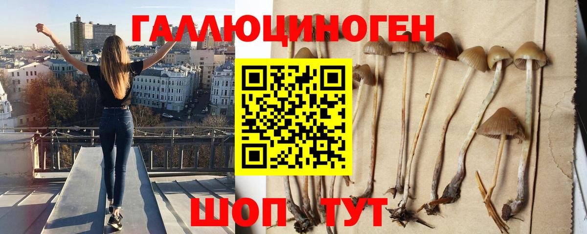 Псилоцибиновые грибы прущие грибы Иваново
